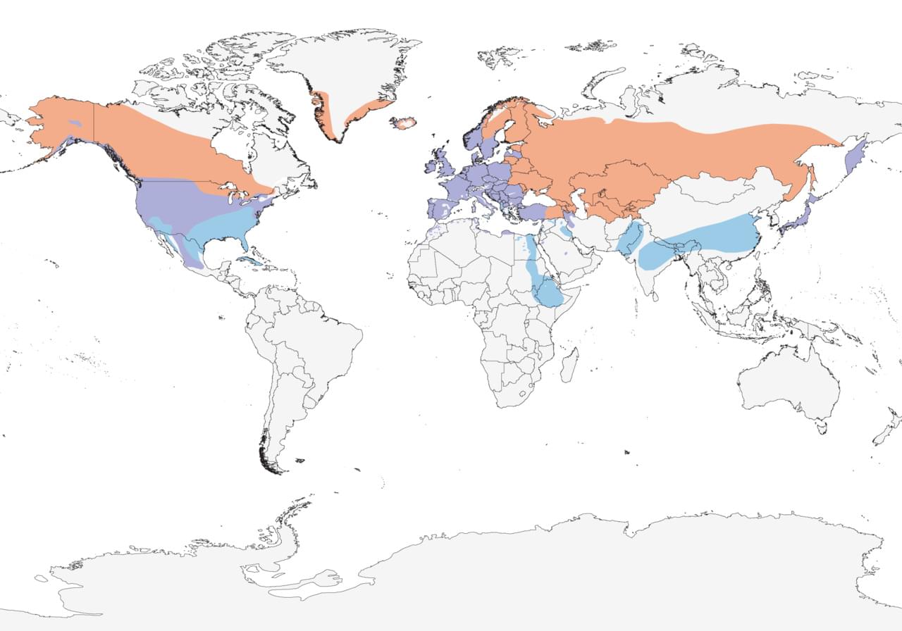 range map