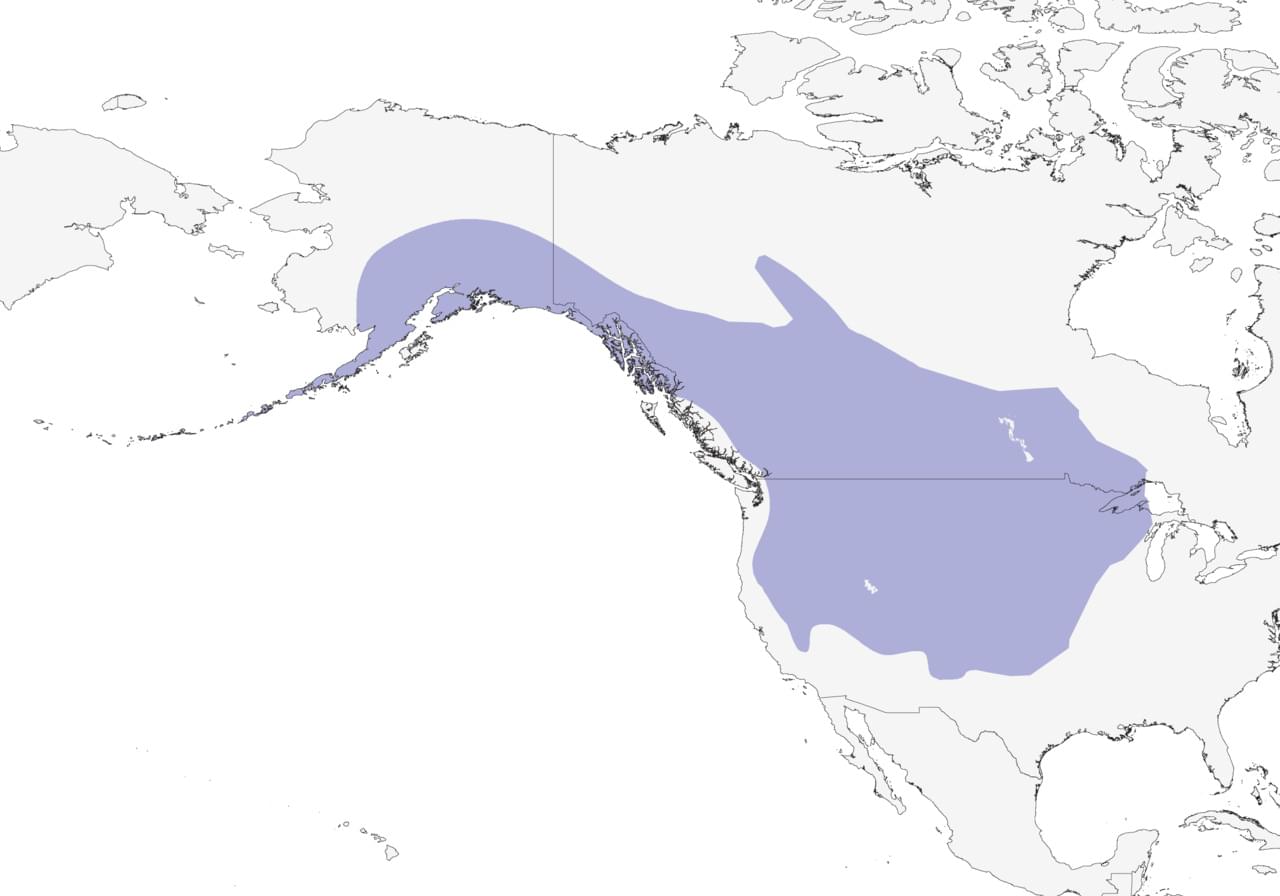 range map
