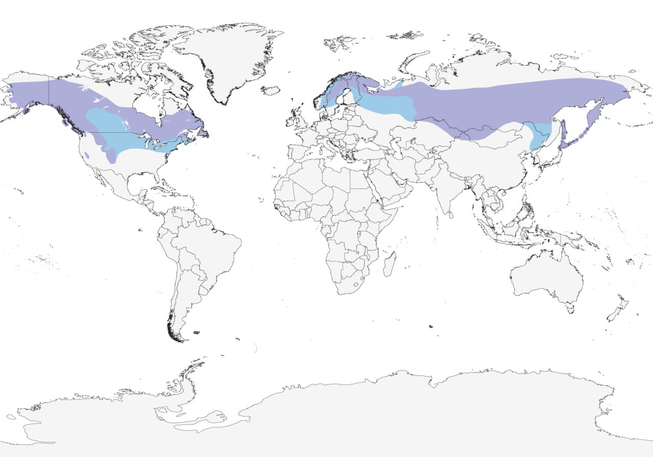 range map
