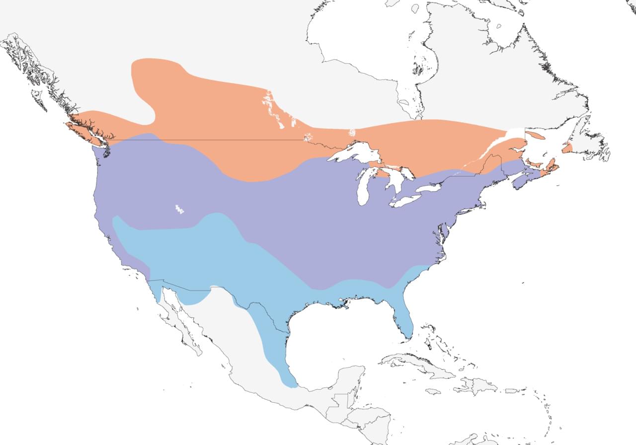 range map