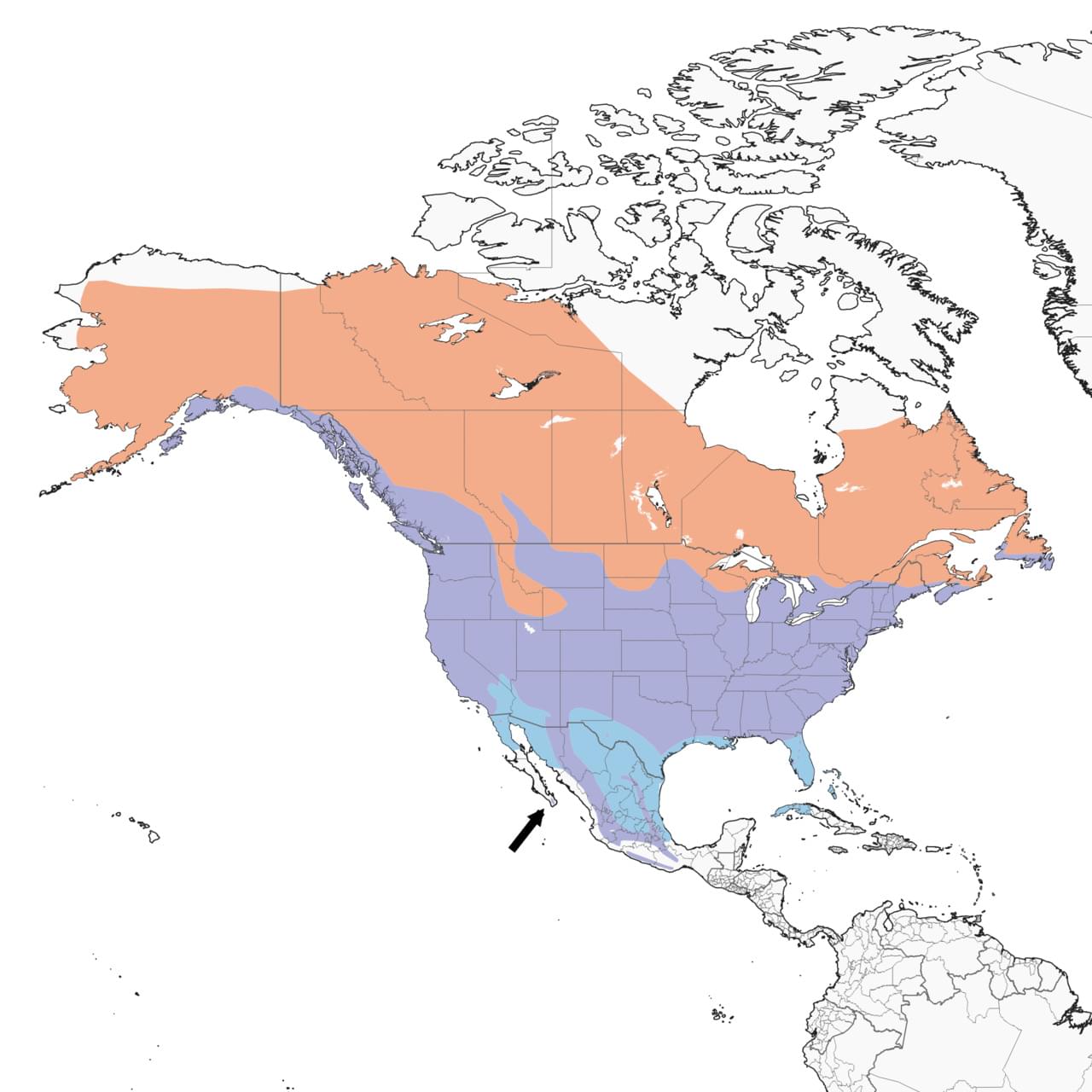 range map
