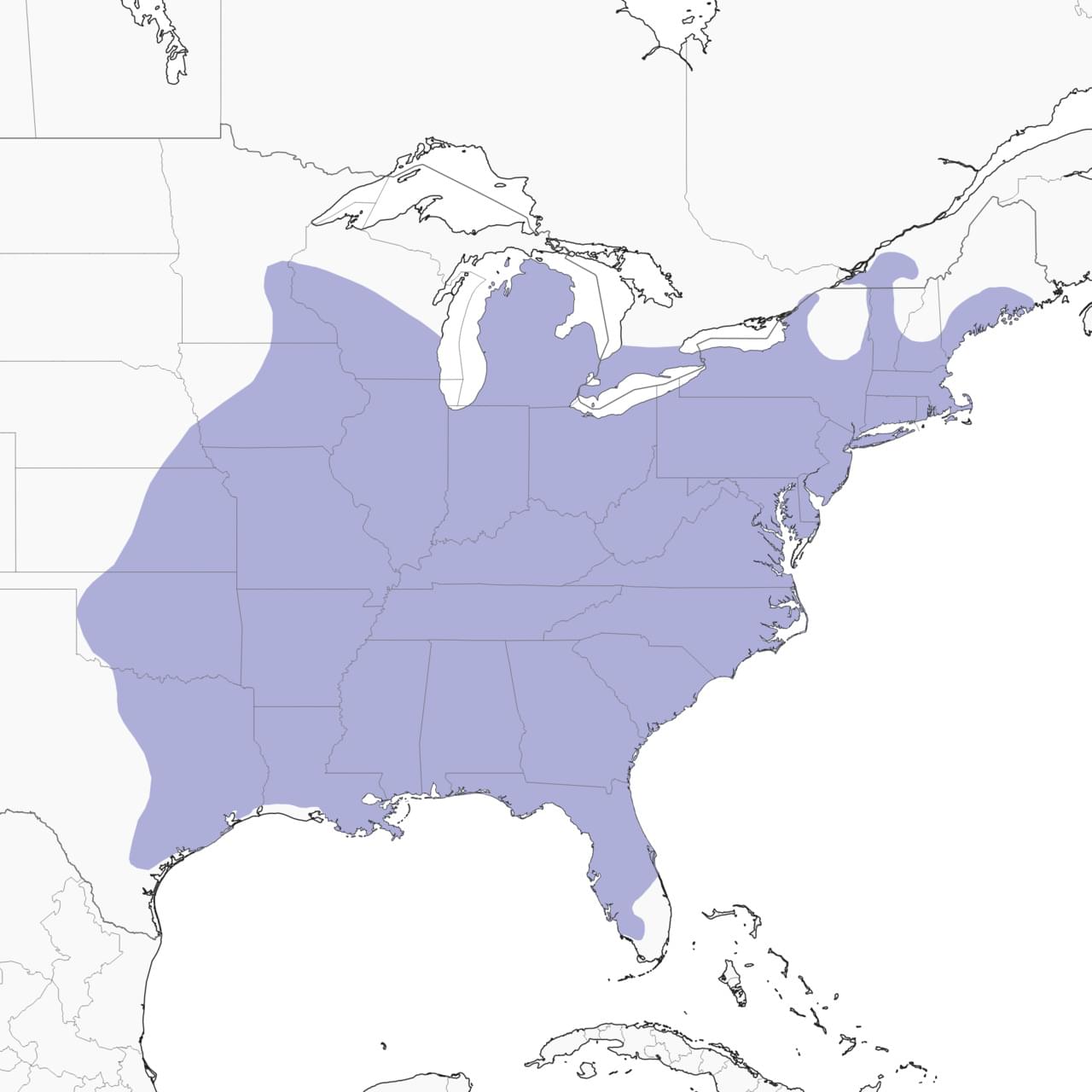 range map