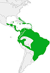 range map