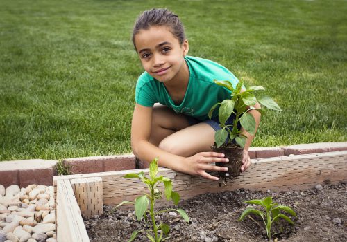 Girl Planting
